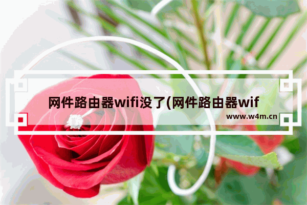 网件路由器wifi没了(网件路由器wifi不稳定)