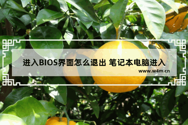 进入BIOS界面怎么退出 笔记本电脑进入bios界面怎么退出