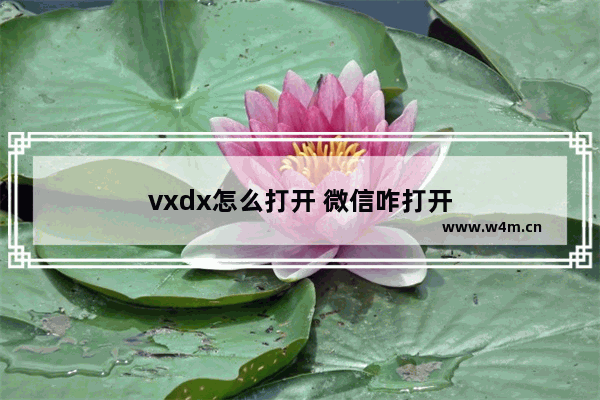 vxdx怎么打开 微信咋打开