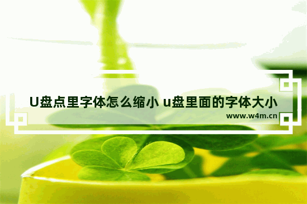 U盘点里字体怎么缩小 u盘里面的字体大小怎么改