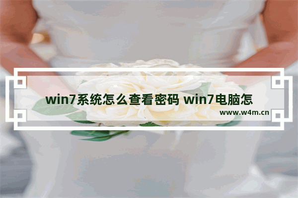 win7系统怎么查看密码 win7电脑怎么查看密码