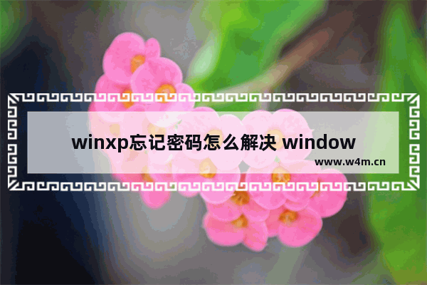 winxp忘记密码怎么解决 windowsxp忘了密码怎么办