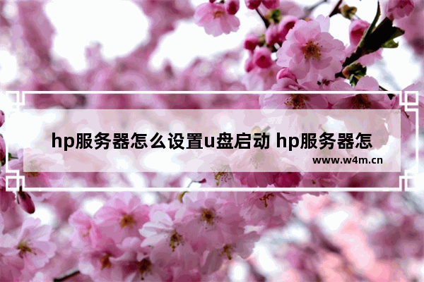 hp服务器怎么设置u盘启动 hp服务器怎么进系统