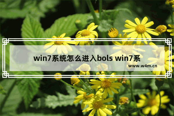 win7系统怎么进入bols win7系统怎么进入u盘启动