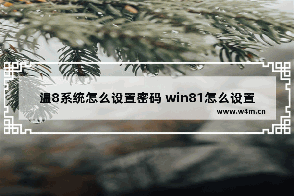 温8系统怎么设置密码 win81怎么设置密码