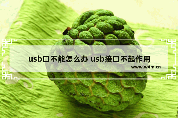 usb口不能怎么办 usb接口不起作用