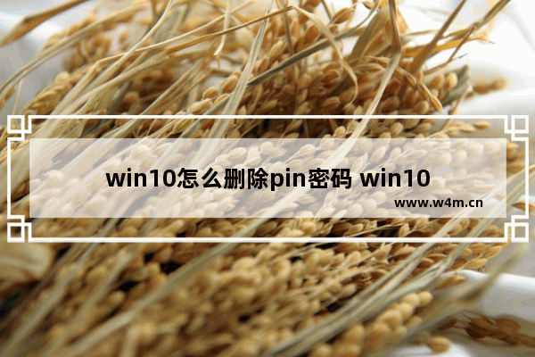 win10怎么删除pin密码 win10删除pin密码重新登陆后一直显示请稍后