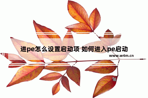 进pe怎么设置启动项 如何进入pe启动