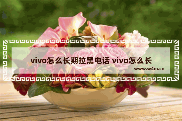 vivo怎么长期拉黑电话 vivo怎么长期拉黑电话号码呢