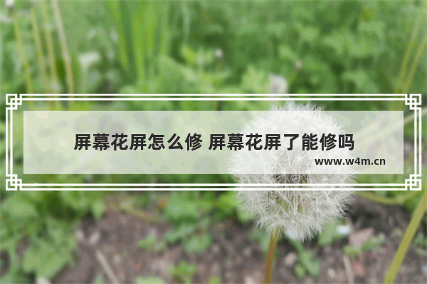 屏幕花屏怎么修 屏幕花屏了能修吗