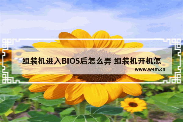 组装机进入BIOS后怎么弄 组装机开机怎么进入bios