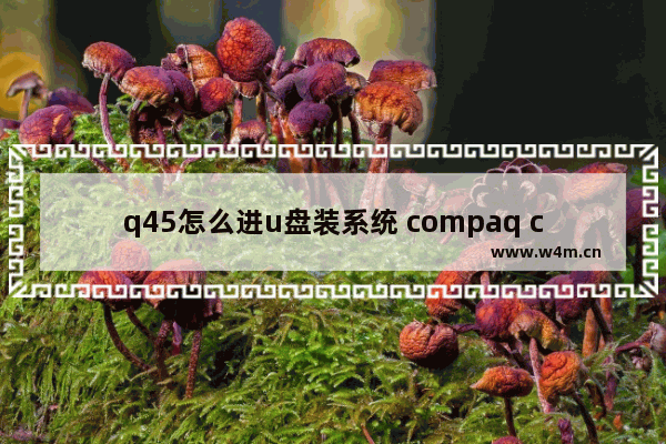 q45怎么进u盘装系统 compaq cq45 u盘启动