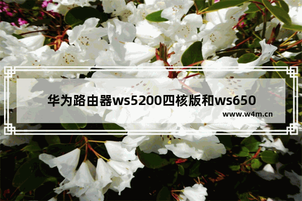 华为路由器ws5200四核版和ws6500哪个好(华为路由器ws5200增强版和ws5200四核)