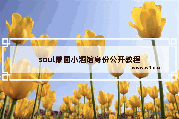 soul蒙面小酒馆身份公开教程