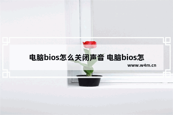 电脑bios怎么关闭声音 电脑bios怎么关闭声音模式