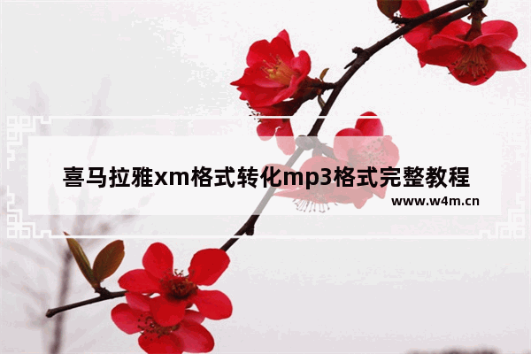 喜马拉雅xm格式转化mp3格式完整教程