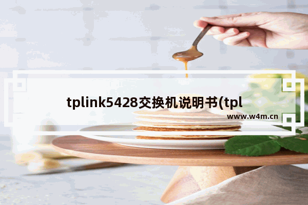 tplink5428交换机说明书(tplink设置成无线交换机)