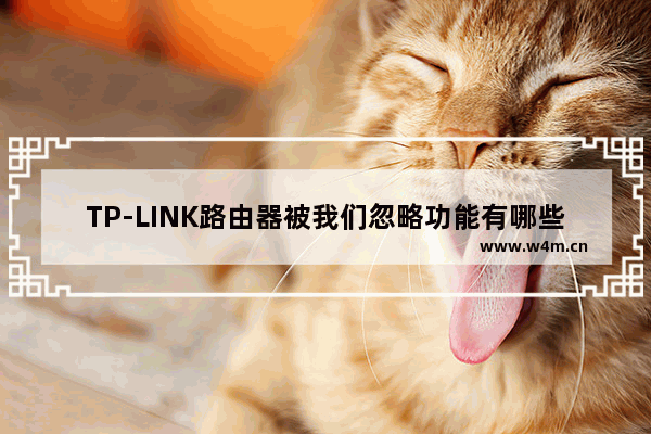 TP-LINK路由器被我们忽略功能有哪些【详解】