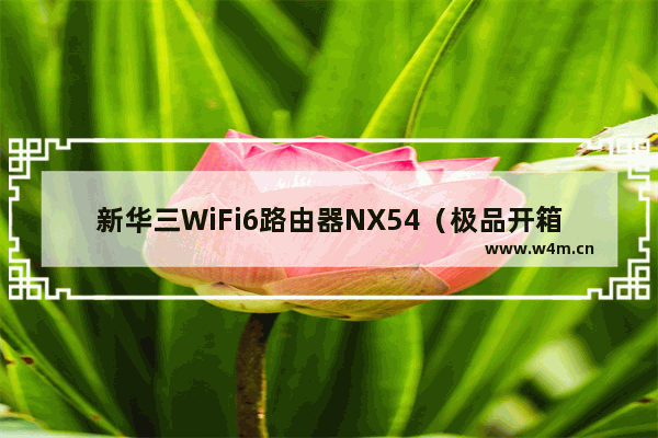 新华三WiFi6路由器NX54（极品开箱测评）