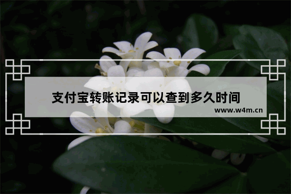 支付宝转账记录可以查到多久时间