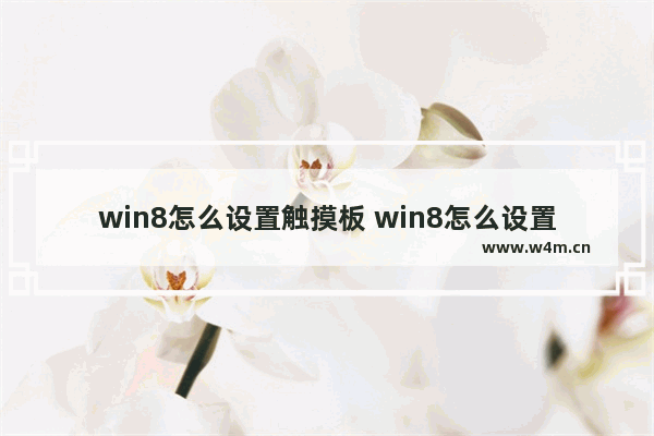 win8怎么设置触摸板 win8怎么设置触摸板开启