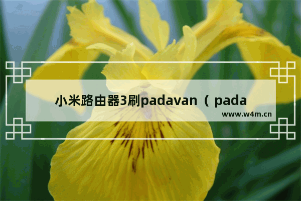 小米路由器3刷padavan（ padavan功能及配置教学）