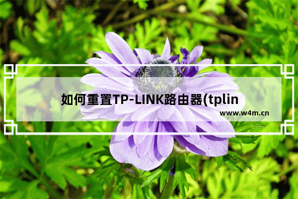 如何重置TP-LINK路由器(tplink路由器怎么重置)