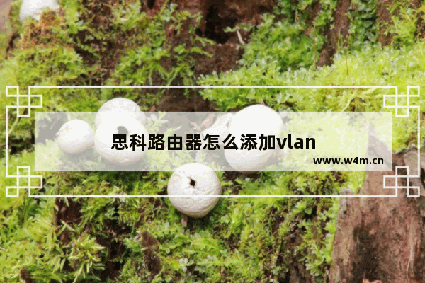 思科路由器怎么添加vlan