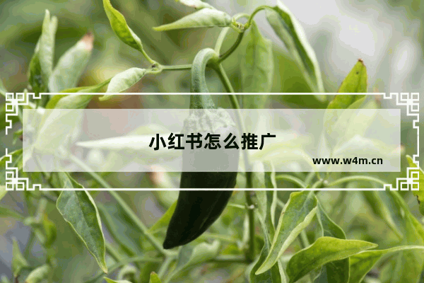 小红书怎么推广