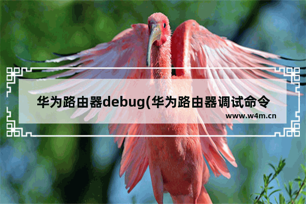 华为路由器debug(华为路由器调试命令)