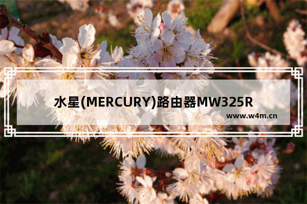 水星(MERCURY)路由器MW325R上不了网/连不上网的解决方法