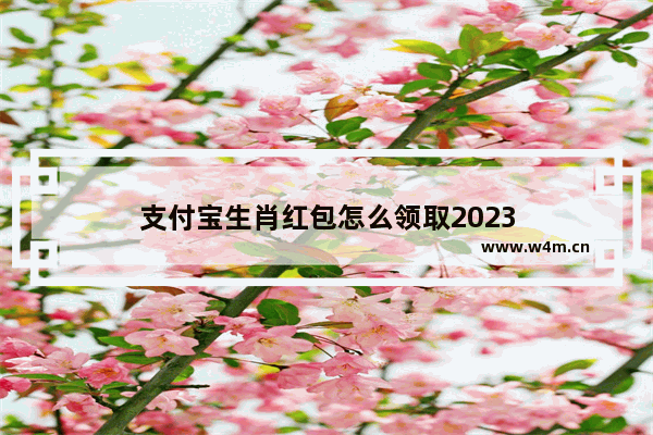 支付宝生肖红包怎么领取2023