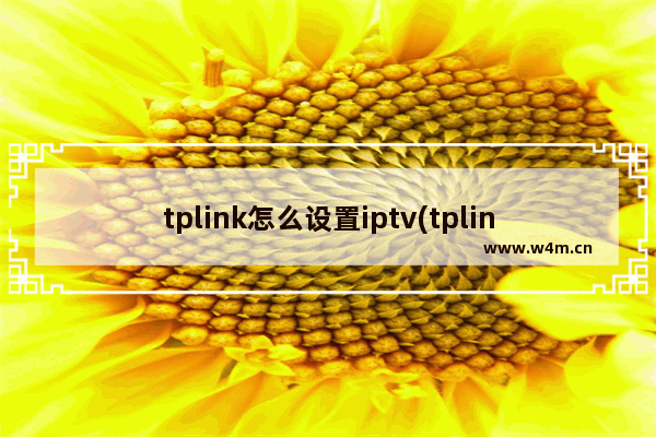 tplink怎么设置iptv(tplink连接iptv)