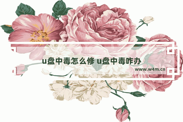 u盘中毒怎么修 u盘中毒咋办