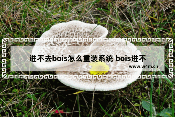 进不去bois怎么重装系统 bois进不了