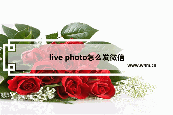 live photo怎么发微信