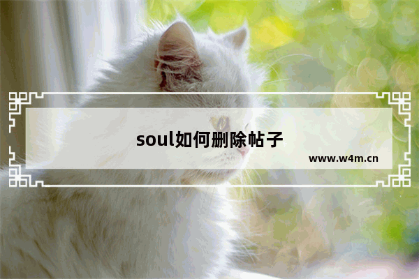 soul如何删除帖子