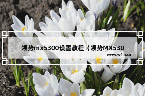 领势mx5300设置教程（领势MX5300的优缺点）