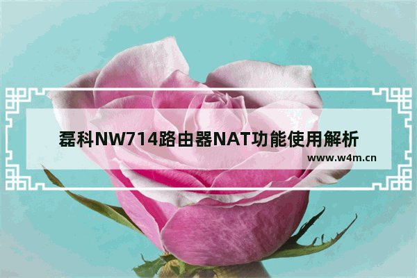 磊科NW714路由器NAT功能使用解析