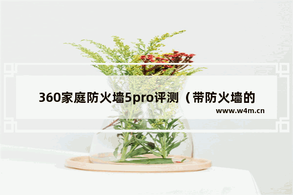 360家庭防火墙5pro评测（带防火墙的路由器）