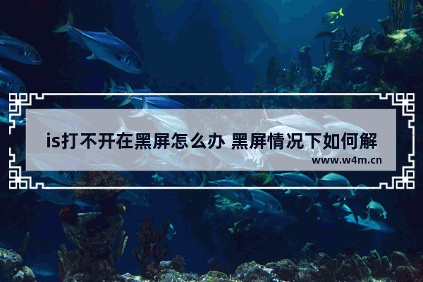 is打不开在黑屏怎么办 黑屏情况下如何解决is无法打开的问题