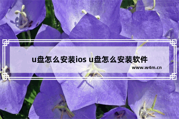 u盘怎么安装ios u盘怎么安装软件