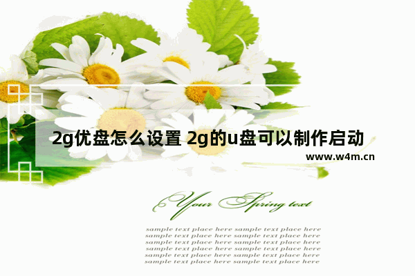 2g优盘怎么设置 2g的u盘可以制作启动盘吗