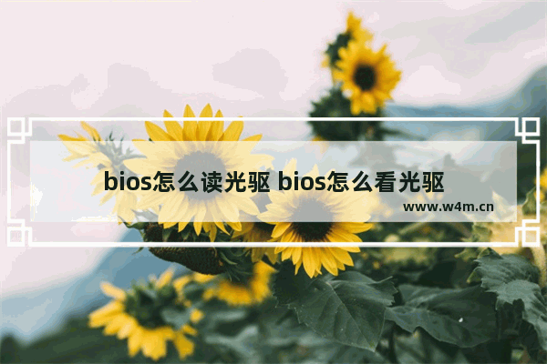 bios怎么读光驱 bios怎么看光驱