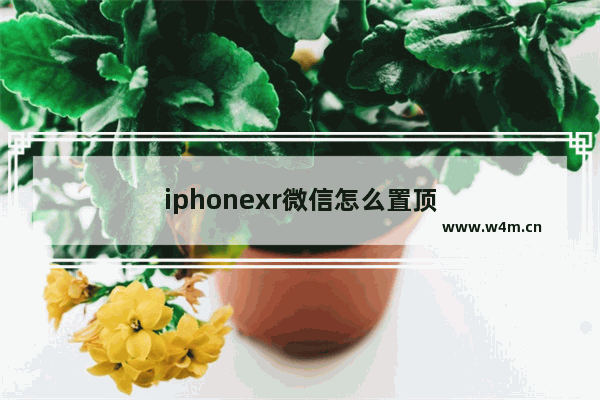 iphonexr微信怎么置顶