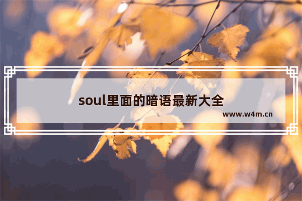 soul里面的暗语最新大全