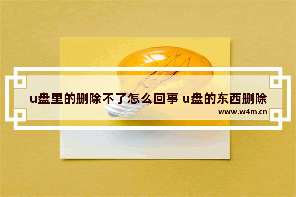 u盘里的删除不了怎么回事 u盘的东西删除不了怎么回事