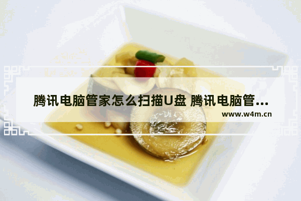 腾讯电脑管家怎么扫描U盘 腾讯电脑管家只能扫码登录吗