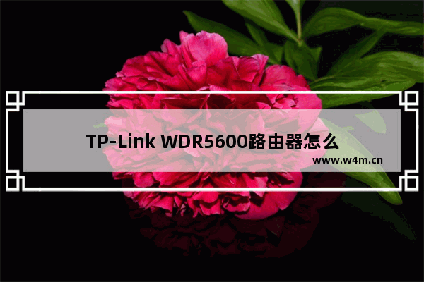 TP-Link WDR5600路由器怎么自动获得IP上网