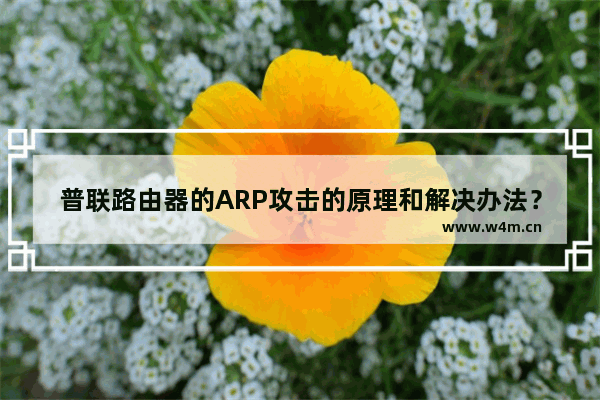 普联路由器的ARP攻击的原理和解决办法？